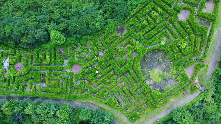 jiulonghu-maze-2