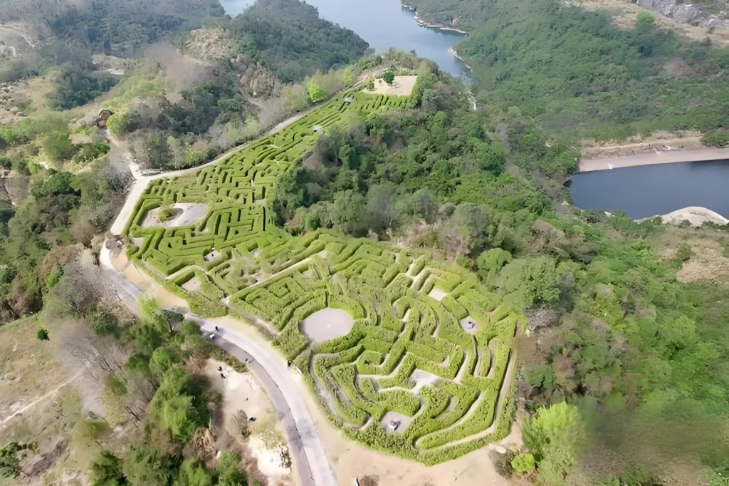 jiulonghu-maze-8