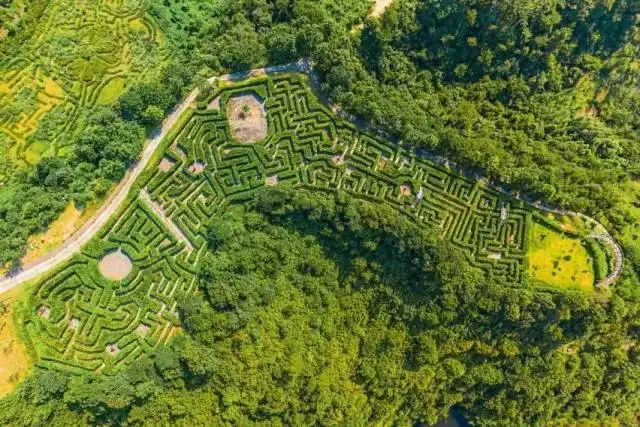 jiulonghu-maze-9