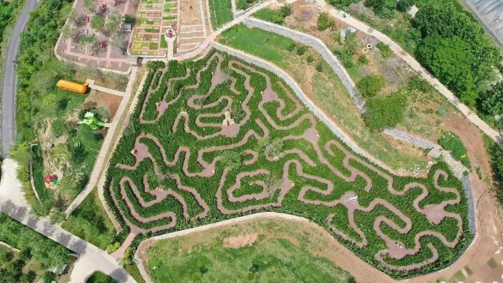 jungle-maze-1
