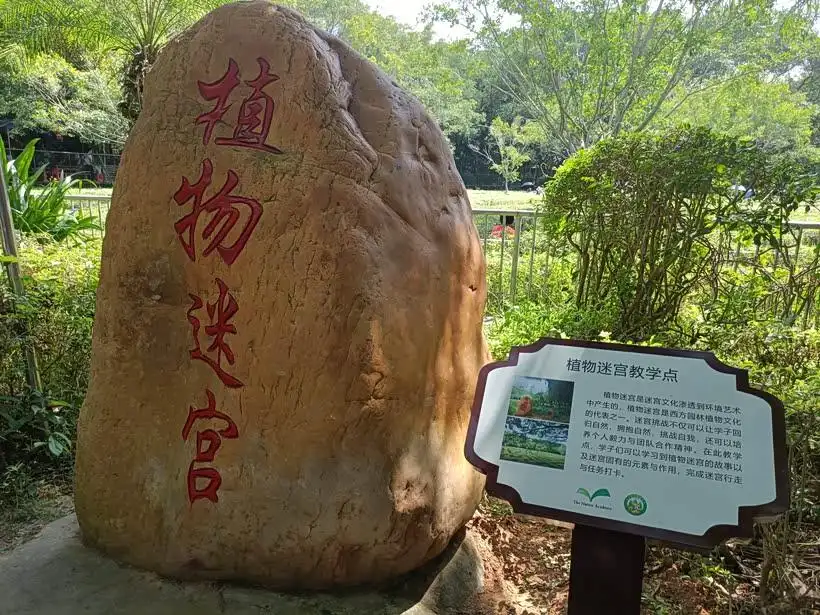 plant-maze-maoming-forest-park-5