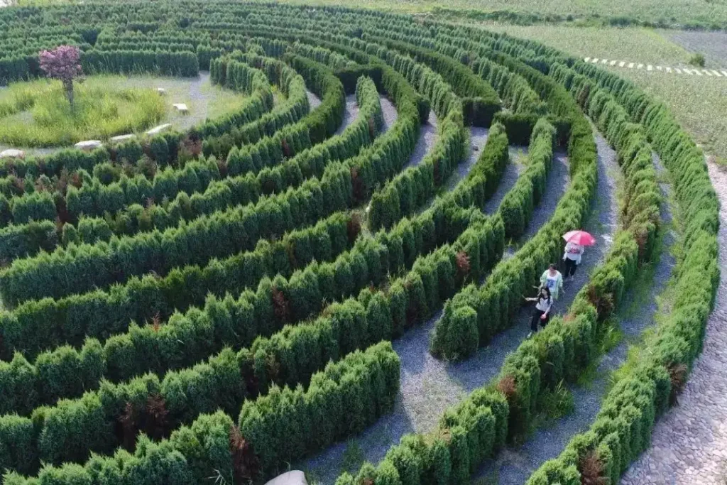 shahe-hongshigou-plant-maze-1