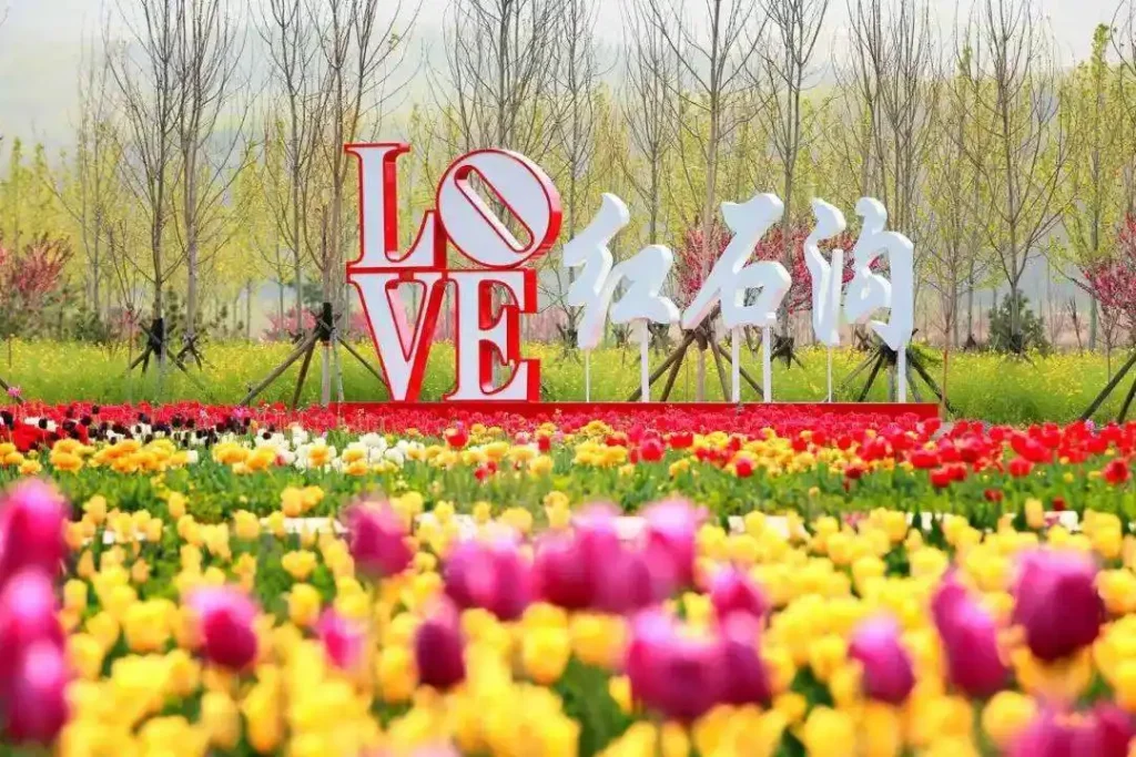 shahe-hongshigou-plant-maze-7