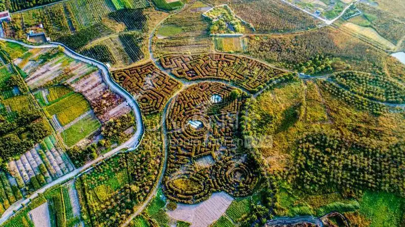 taichuang-plant-maze-5