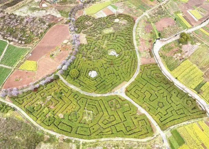 taichuang-plant-maze-6