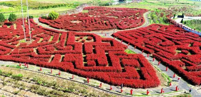 taichuang-plant-maze-8