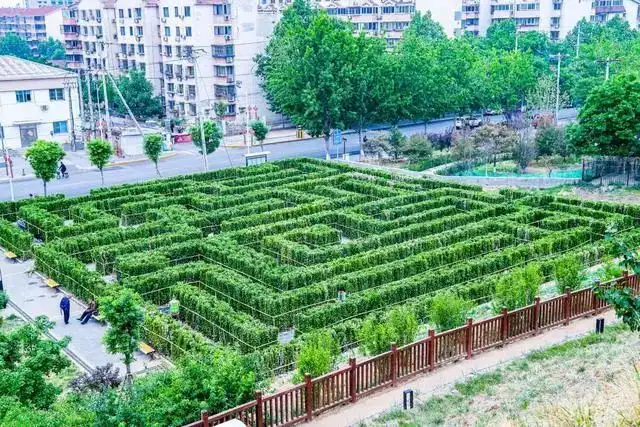 xiaoyue-plant-maze-1