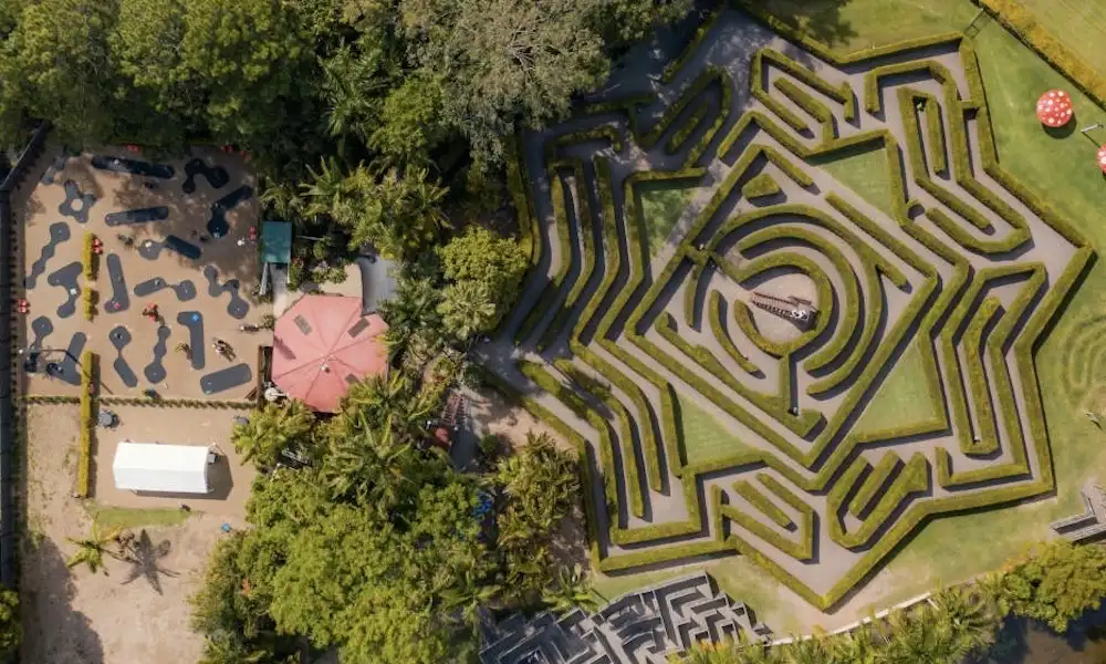 amaze-world-bellingham-hedge-maze-4