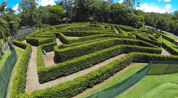 amaze-world-bellingham-hedge-maze-8