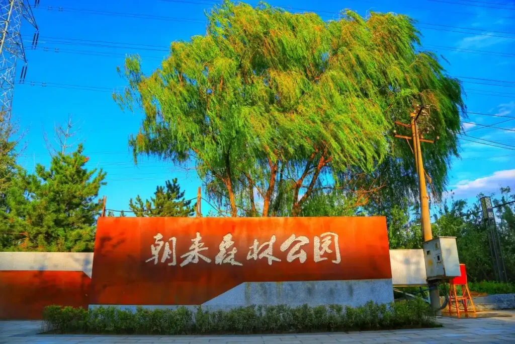 chaolai-forest-park-maze-1