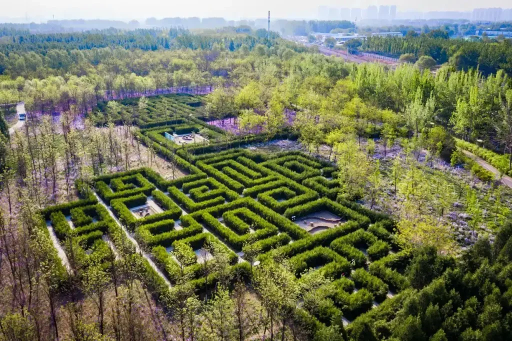 chaolai-forest-park-maze-3