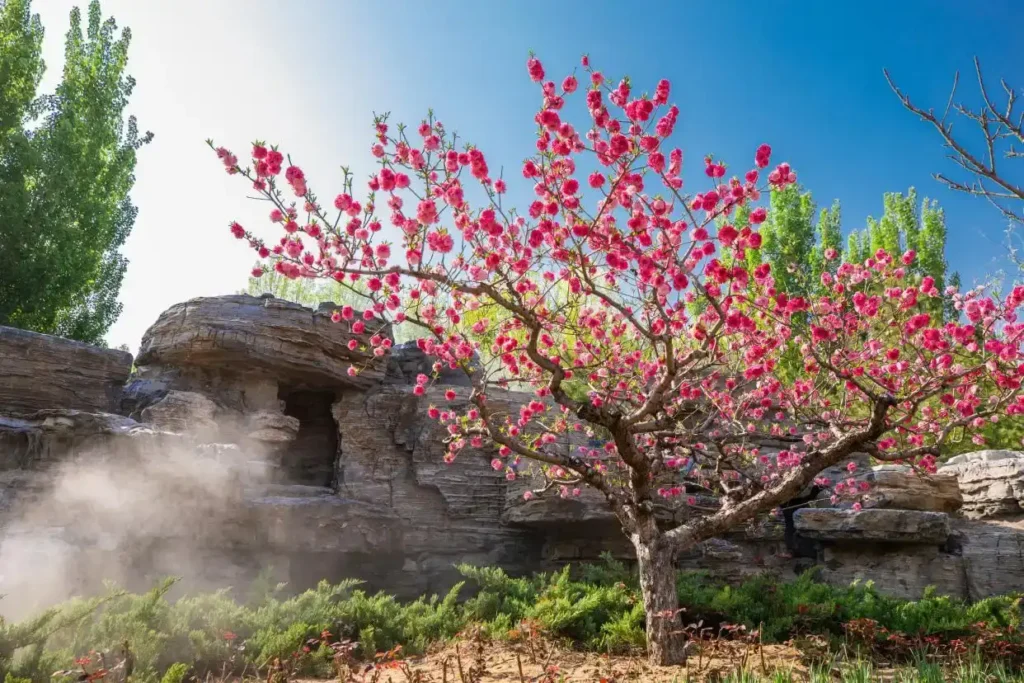 chaolai-forest-park-maze-6