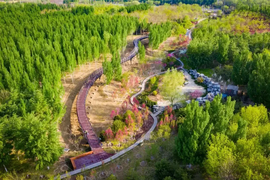 chaolai-forest-park-maze-7