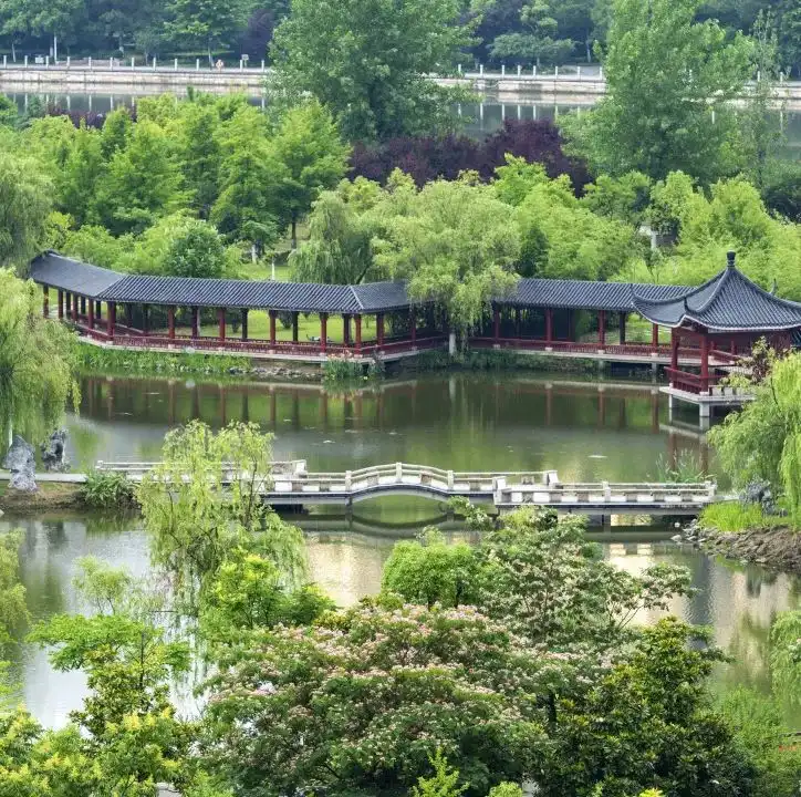 dongyang-maze-5