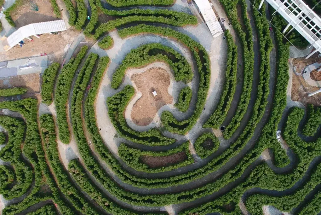 feixi-maze-group-1