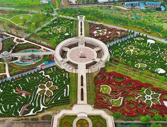feixi-maze-group-8