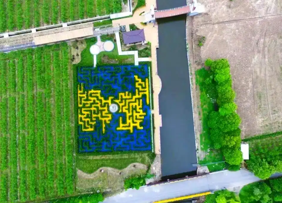 jinshan-maze-2