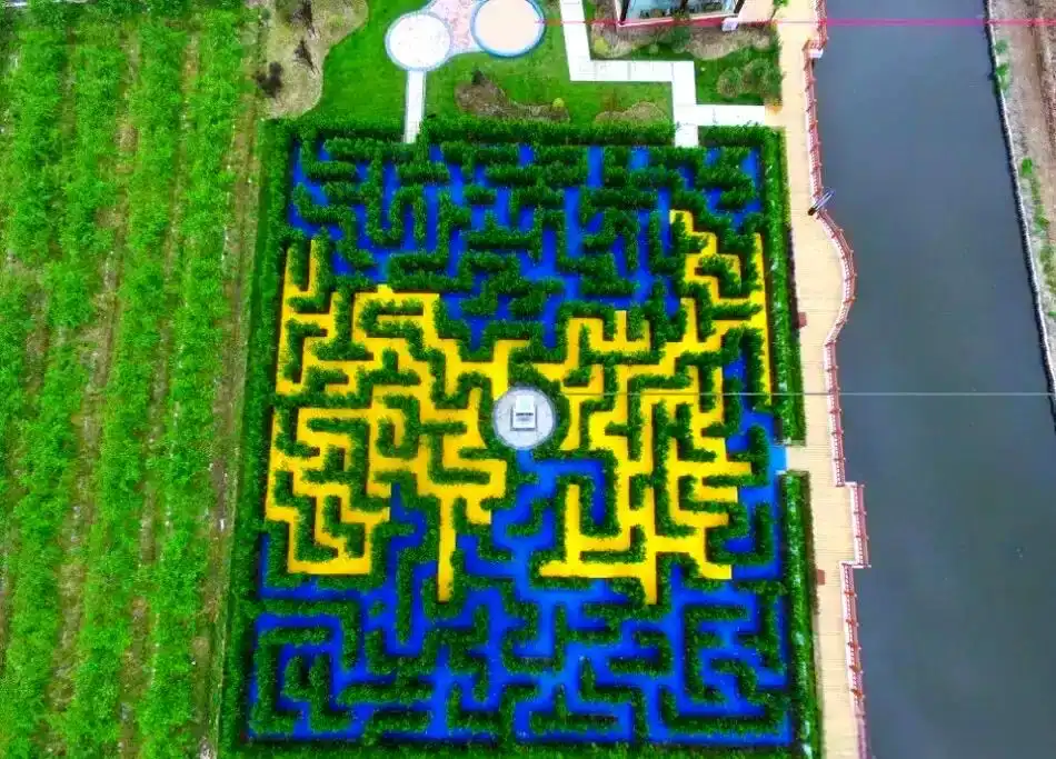 jinshan-maze-3