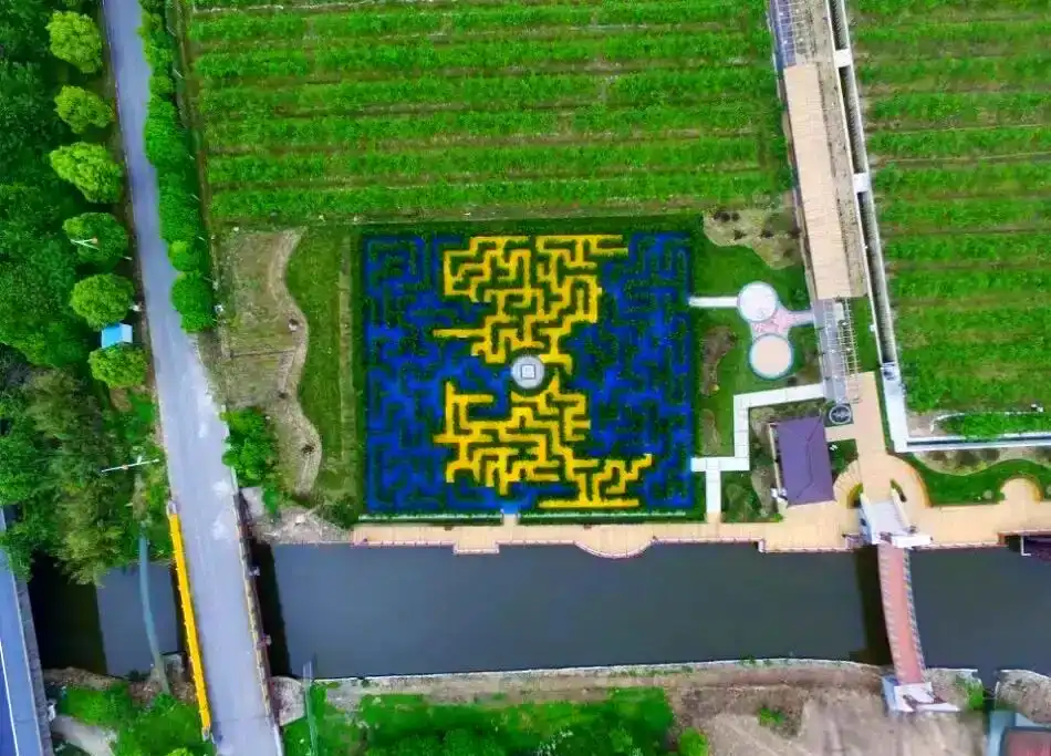 jinshan-maze-4
