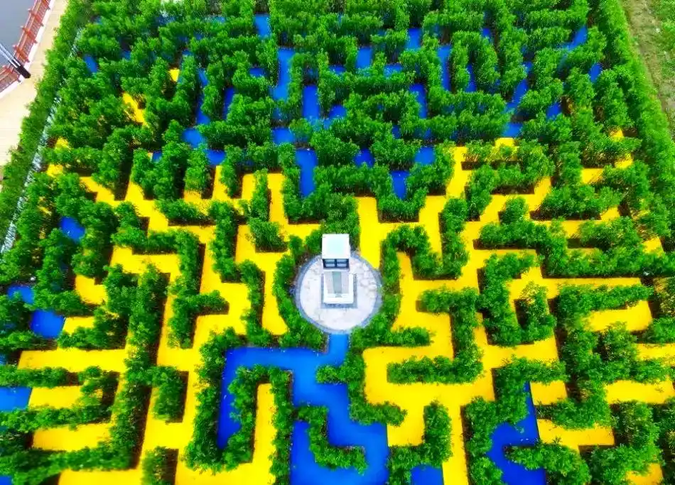 jinshan-maze-5