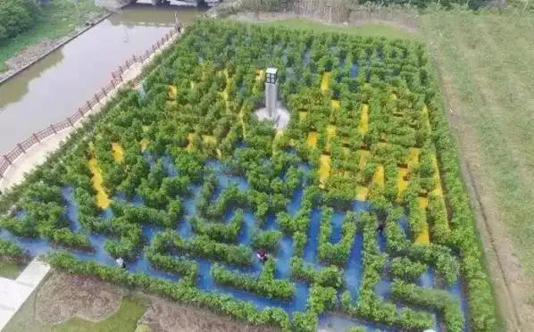 jinshan-maze-7