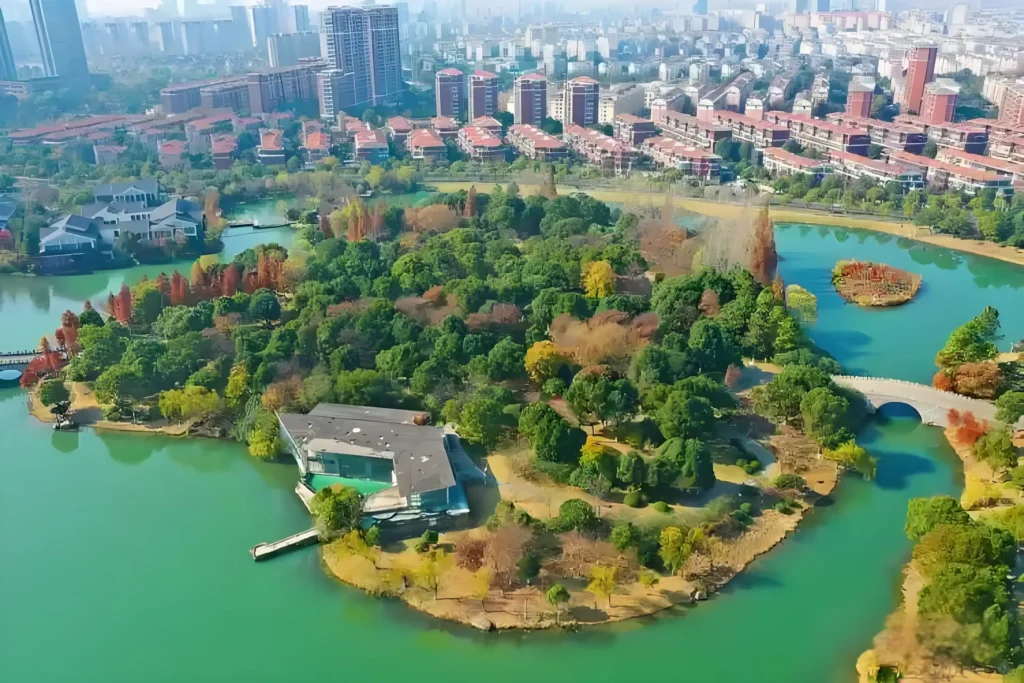liangfeng-maze-1