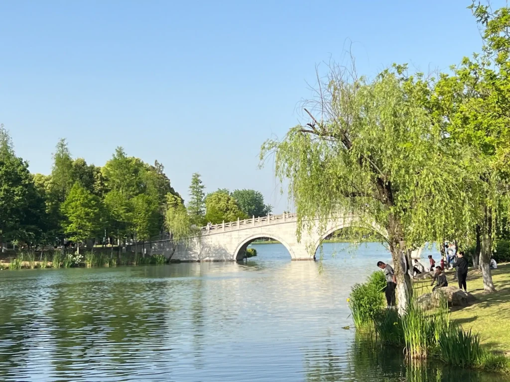 liangfeng-maze-4