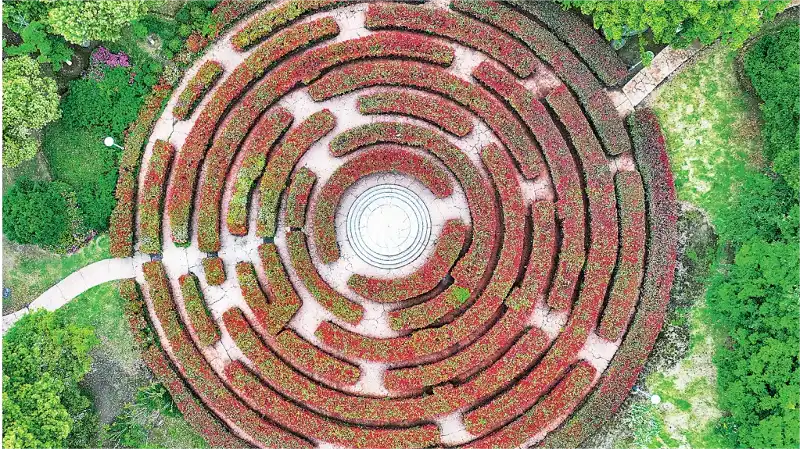 liangfeng-maze-6