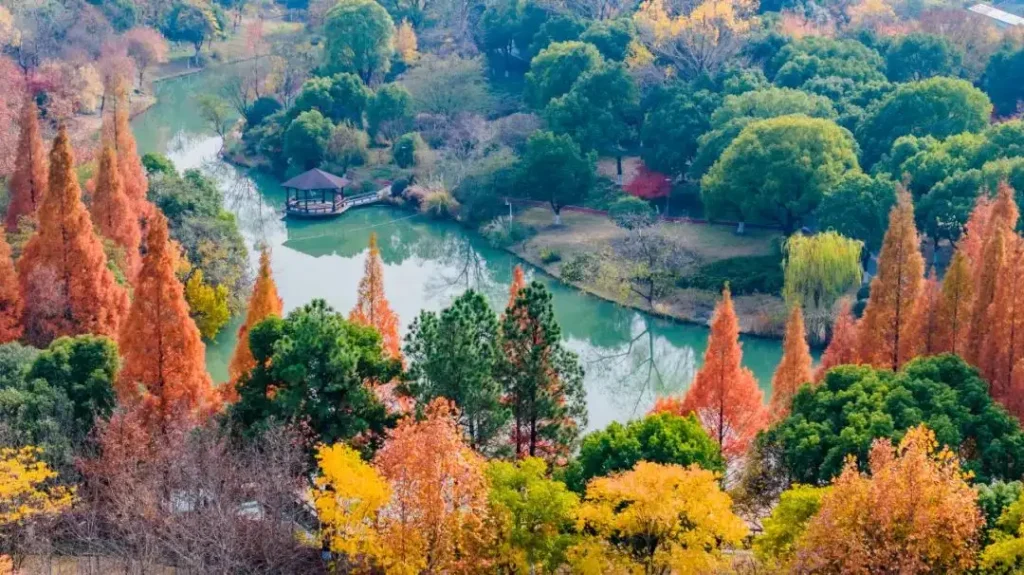 liangfeng-maze-9