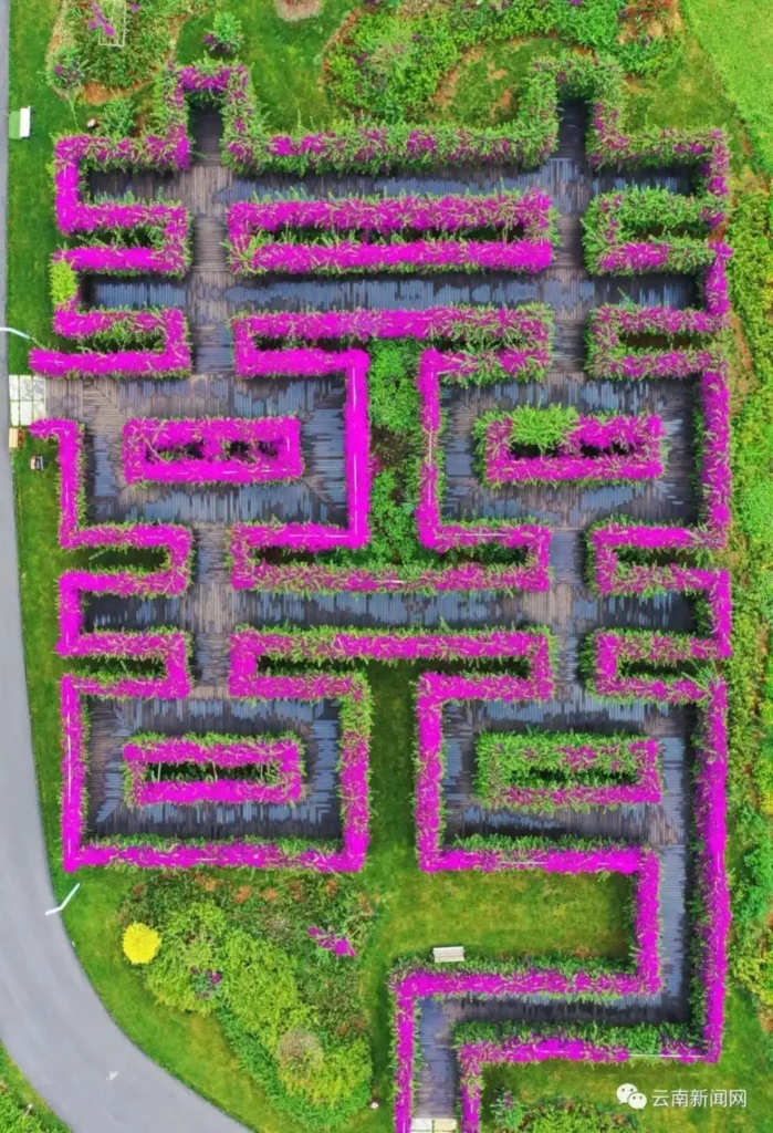 mile-taiping-lake-maze-1