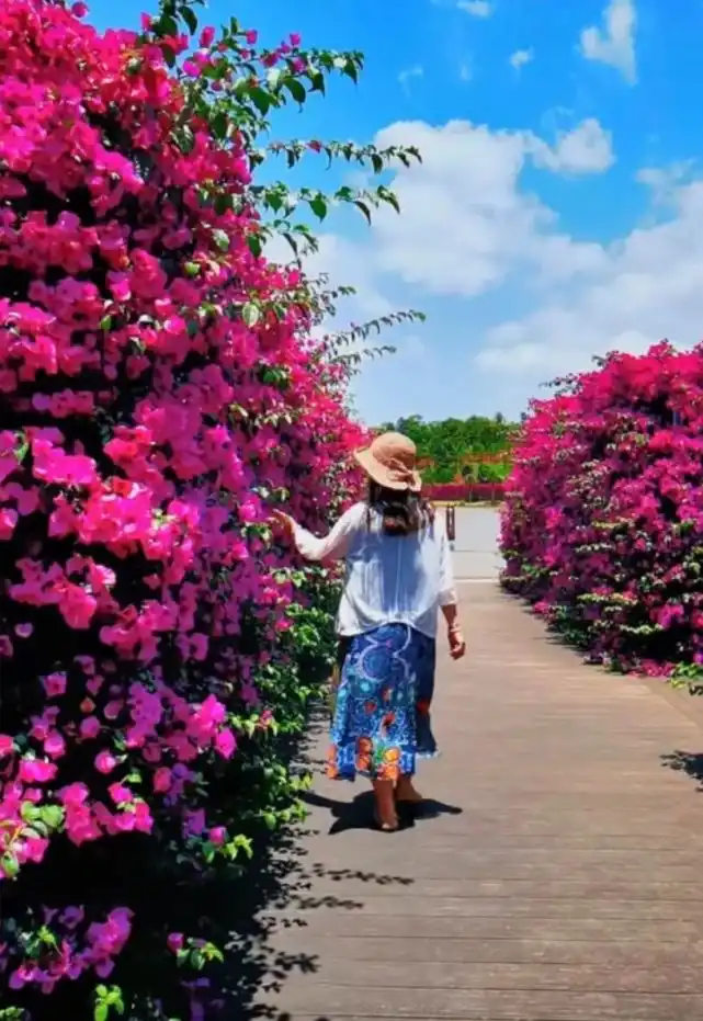 mile-taiping-lake-maze-10