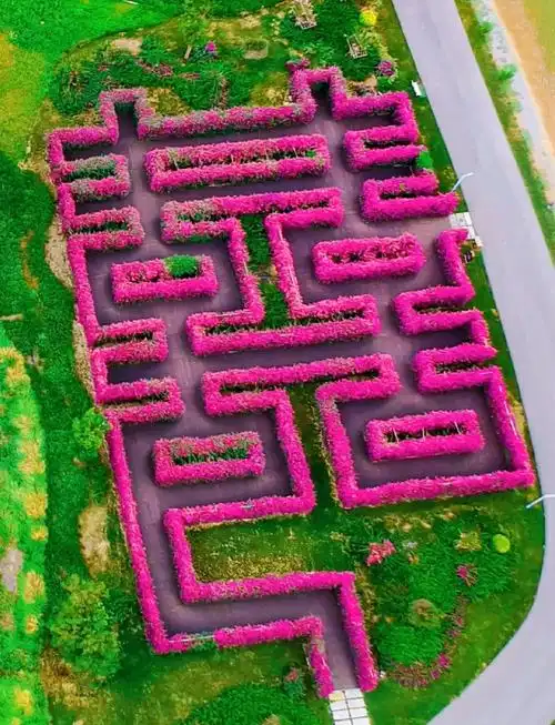 mile-taiping-lake-maze-2