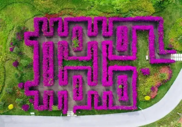 mile-taiping-lake-maze-3