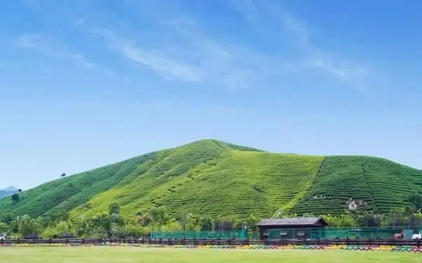 yuanxiang-maze-10