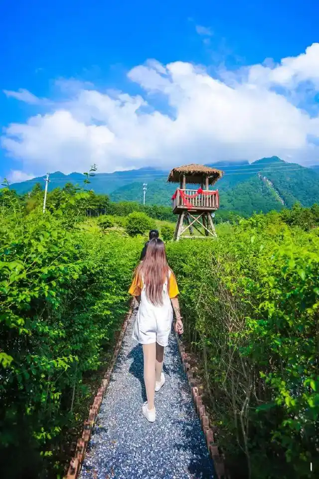 yunmen-mountain-dream-maze-12