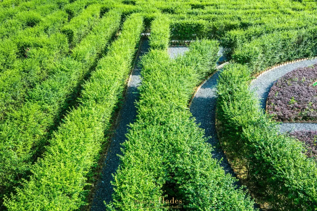 yunmen-mountain-dream-maze-16