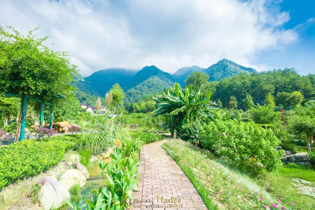 yunmen-mountain-dream-maze-10