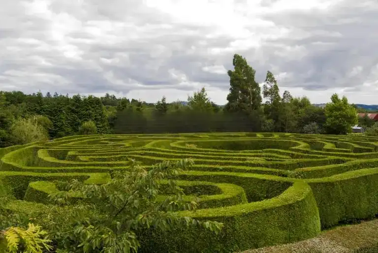 celtic-maze-7