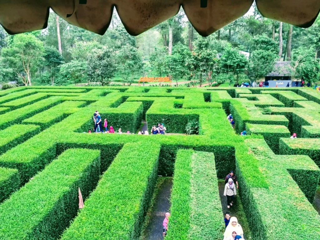 coban-rondo-maze-4