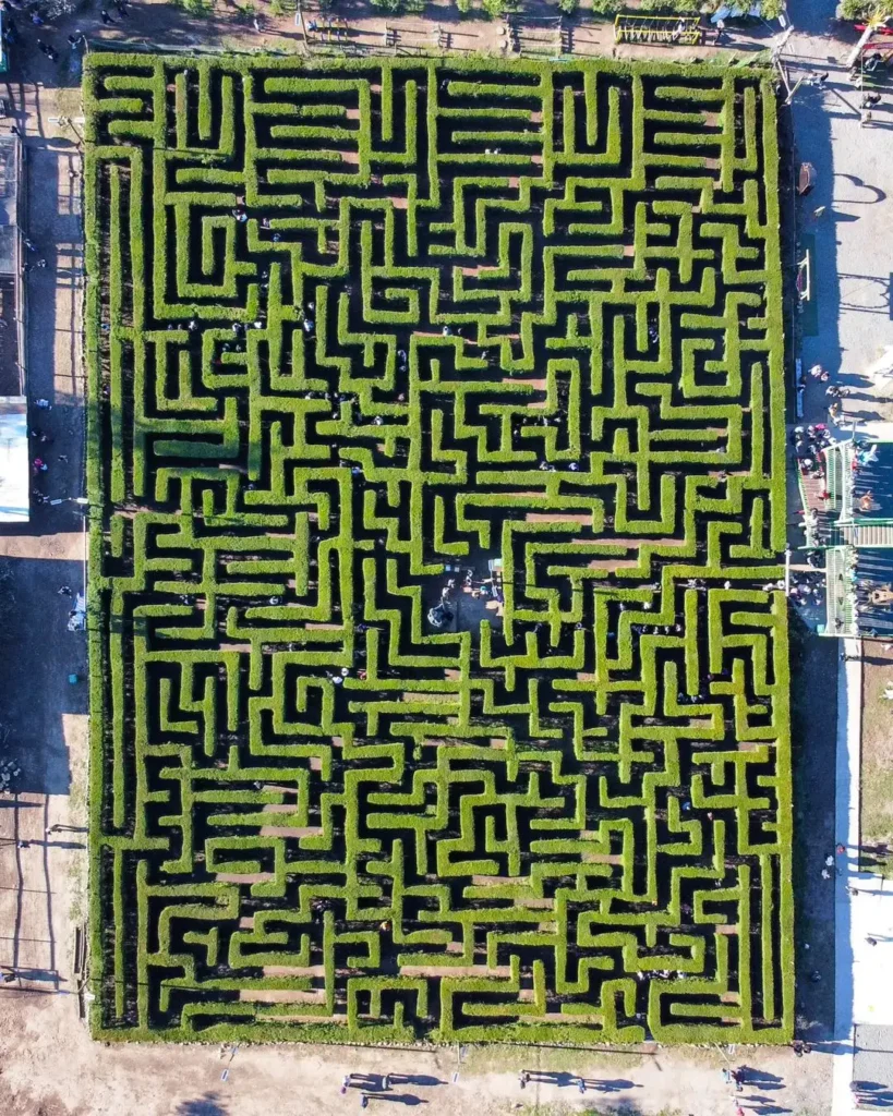 laberinto-san-fernando-1