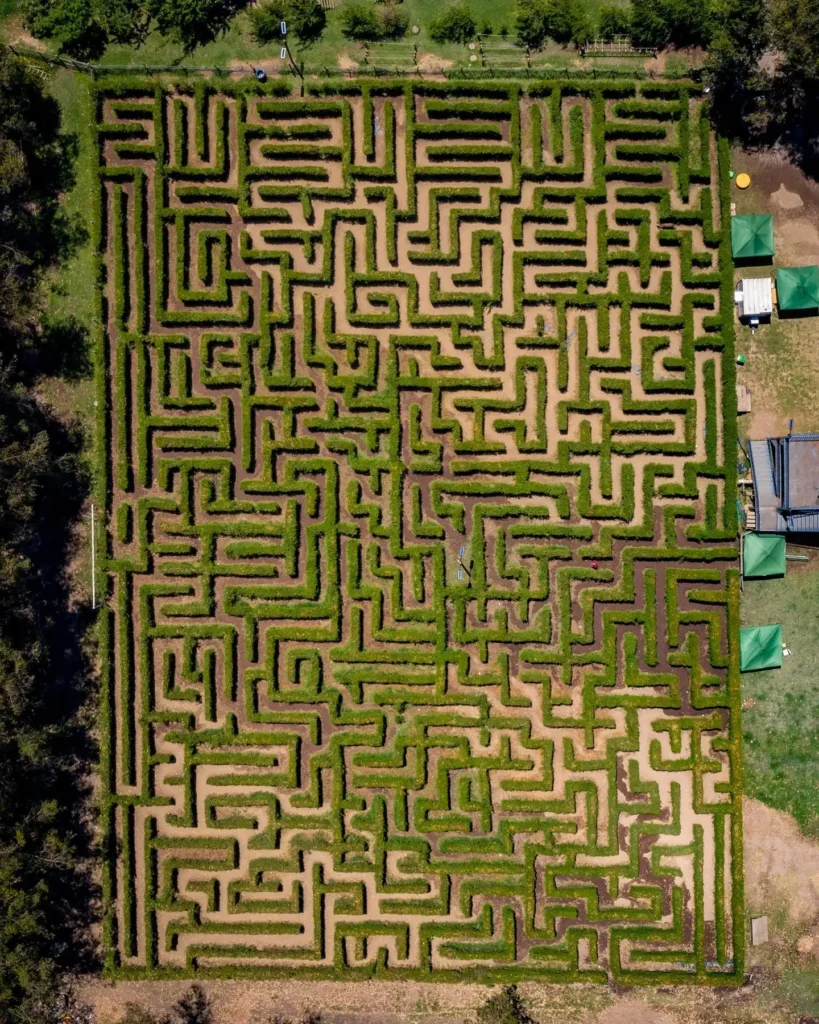 laberinto-san-fernando-4