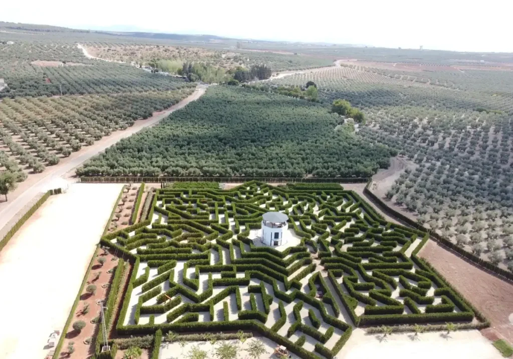 laberintus-park-maze-2