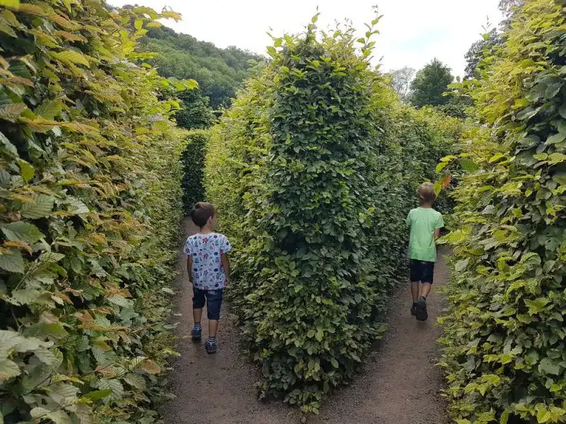 labyrint-brandýs-nad-orlicí-8