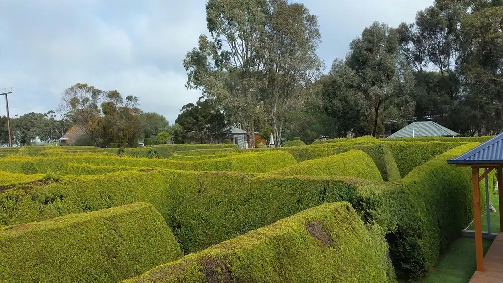 mintaro-maze-6