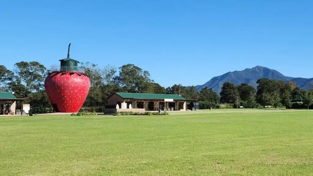 redberry-farm-maze-7