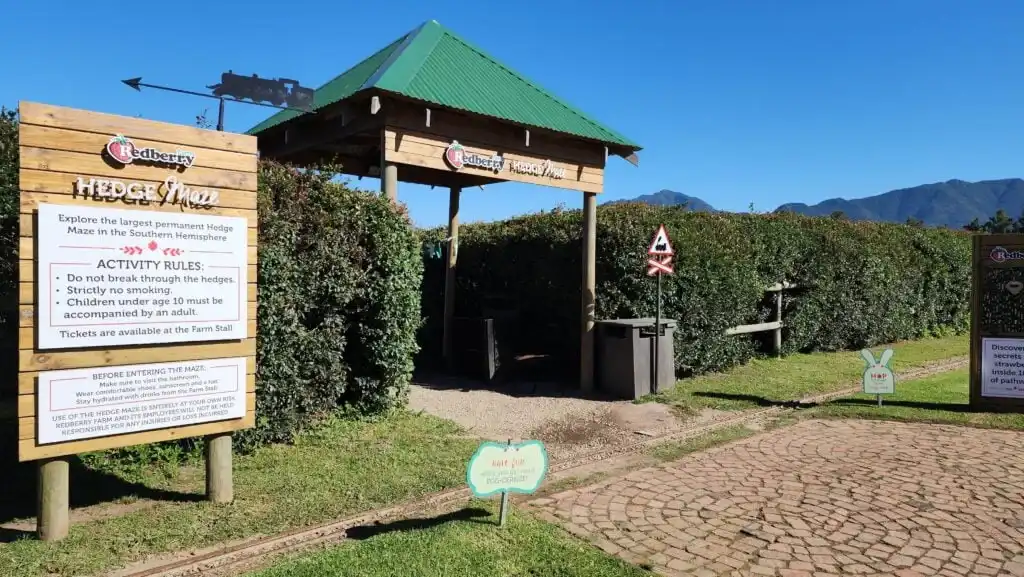 redberry-farm-maze-8