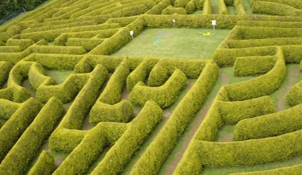 the-kildare-maze-7