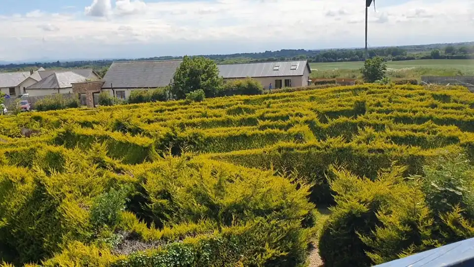 the-kildare-maze-8