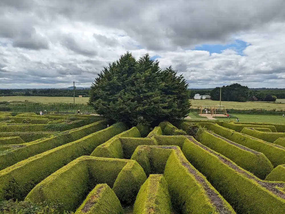 the-kildare-maze-8