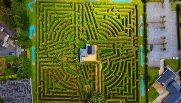 the-kildare-maze